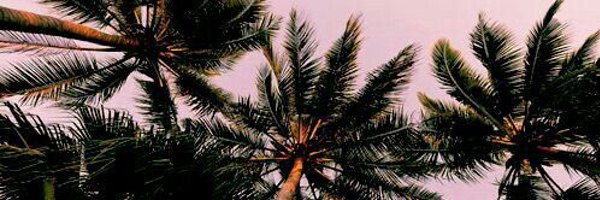 Vickividals2's profile banner image