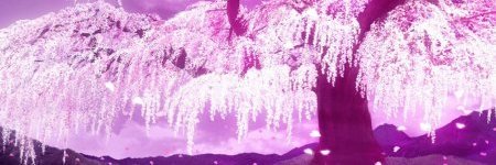 Code_SenpaiZ's profile banner image
