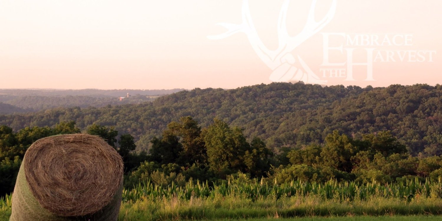 ETHunting's profile banner image