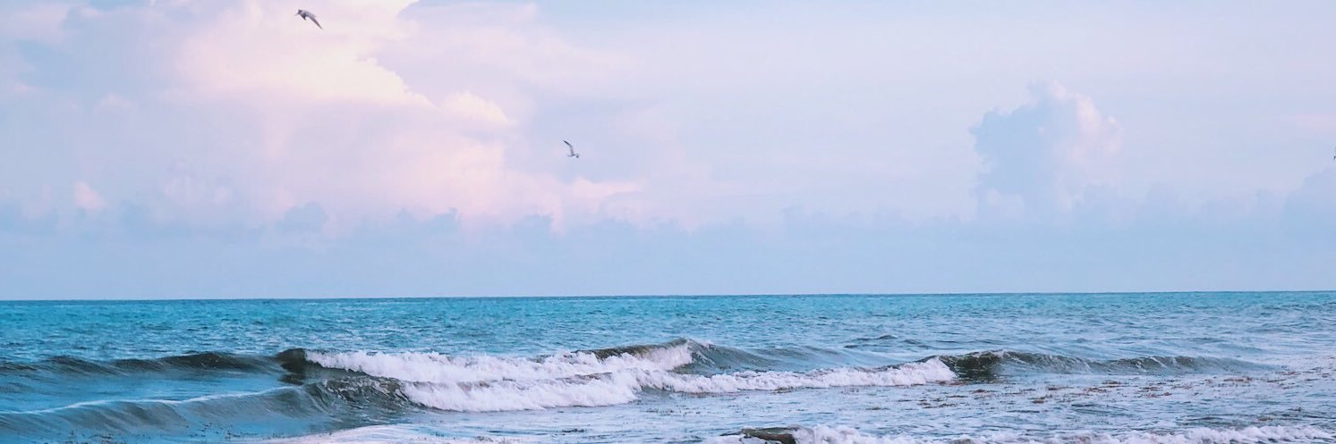 anglinabu's profile banner image