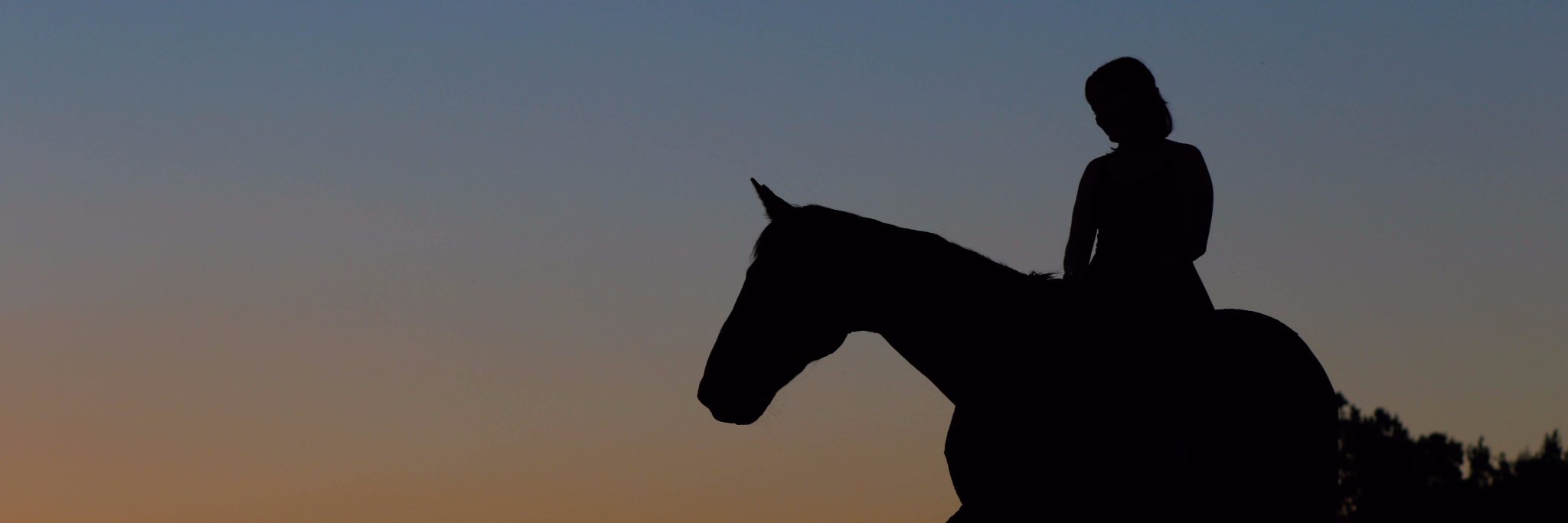 KariganLeclair's profile banner image