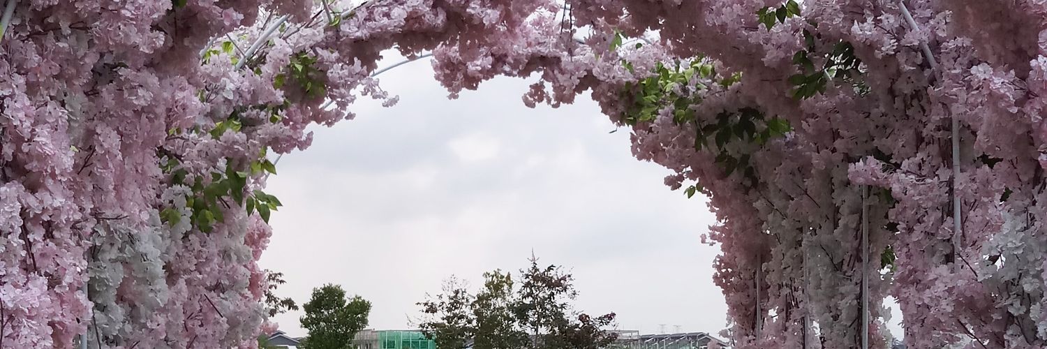dzaltastic's profile banner image