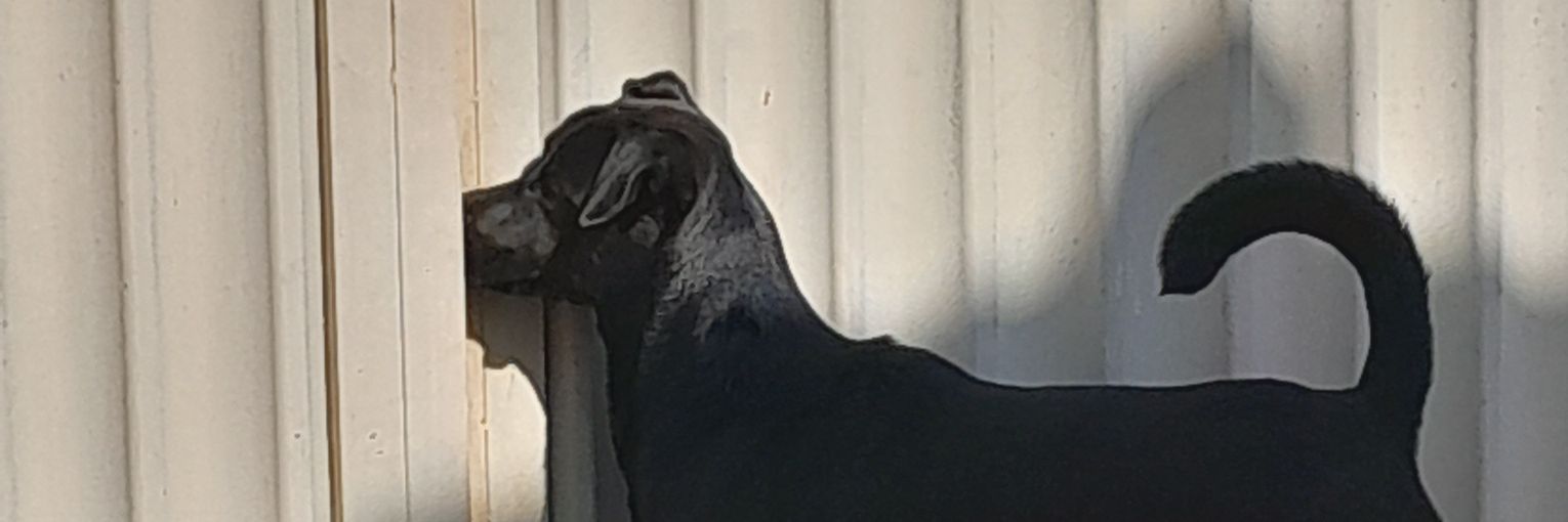 ohnanaju's profile banner image