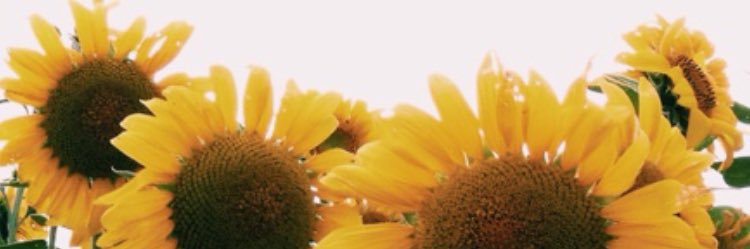 aebailey35's profile banner image