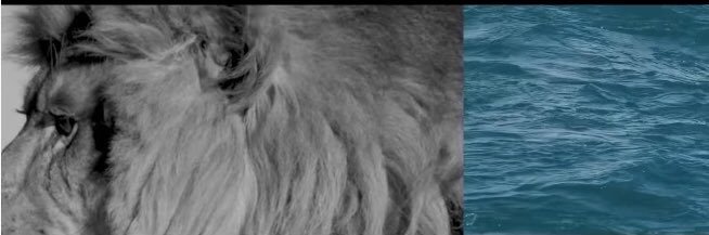 _kradchenko's profile banner image