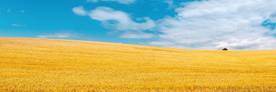 igor_walter83's profile banner image
