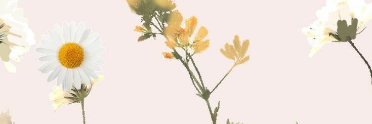 heemora15's profile banner image
