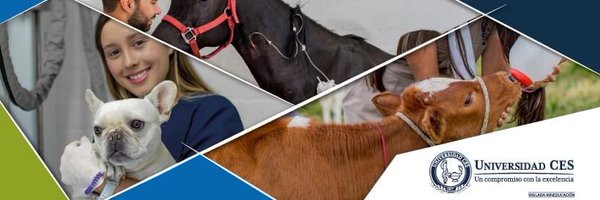 CVZ_CES Profile Banner