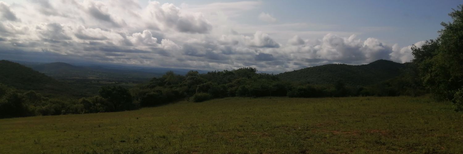 smiter911's profile banner image