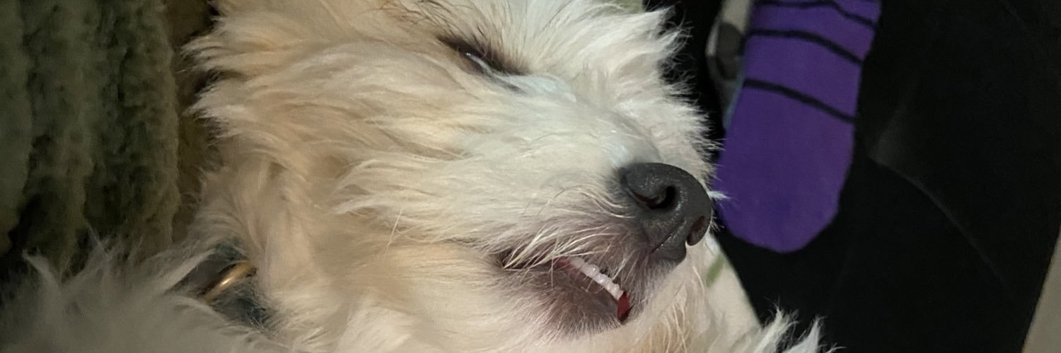 UnintentionalW's profile banner image