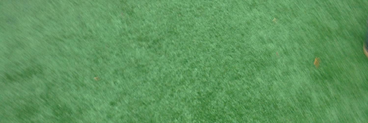 Gleidybrei's profile banner image