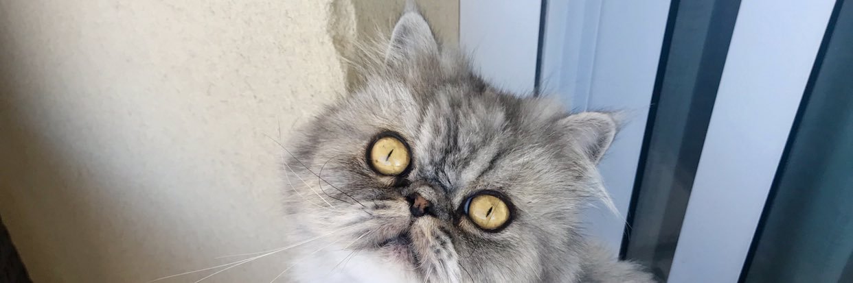 aamaaiiiaa's profile banner image