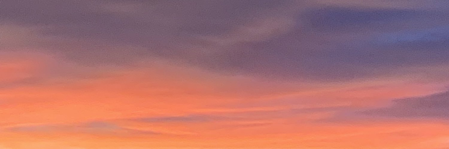 vinessaju's profile banner image