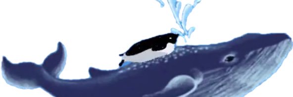 _o516y's profile banner image