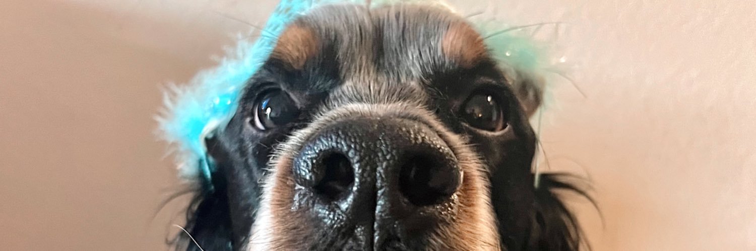 theonlyabbye's profile banner image