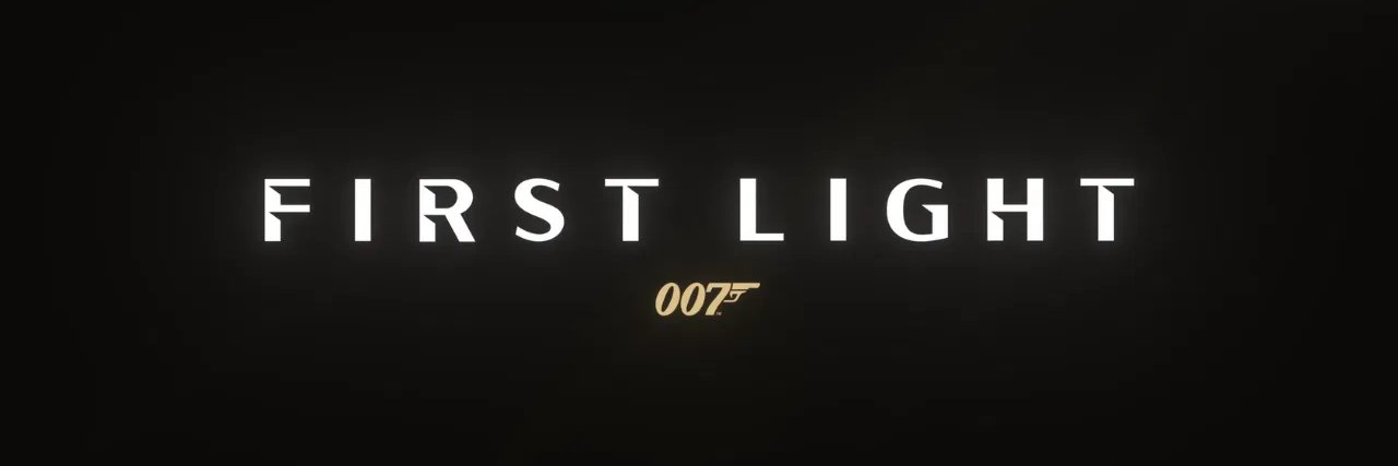 The Flight banner
