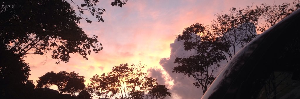 tham_guia's profile banner image