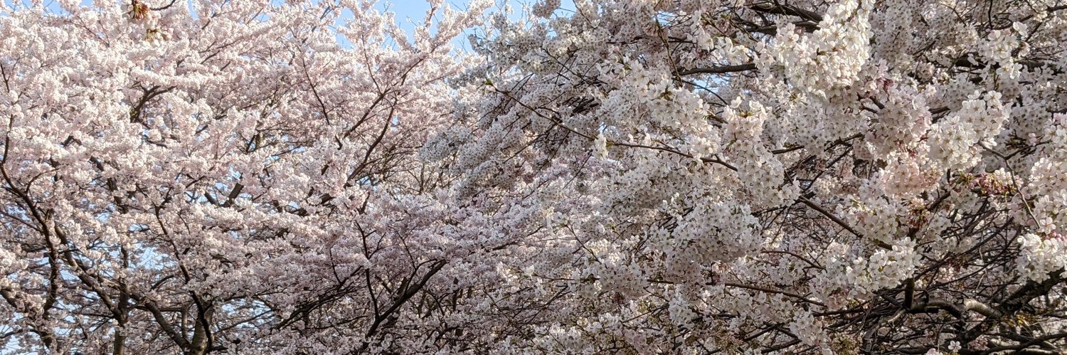ShaneJ614's profile banner image