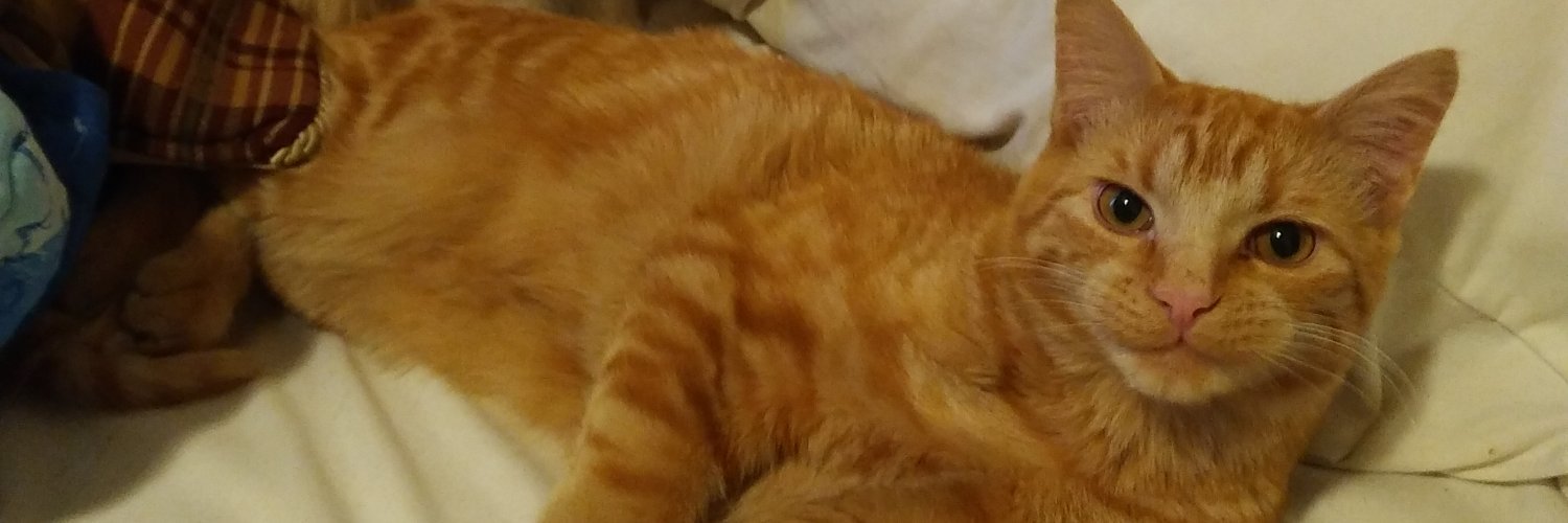 EmmySquee's profile banner image