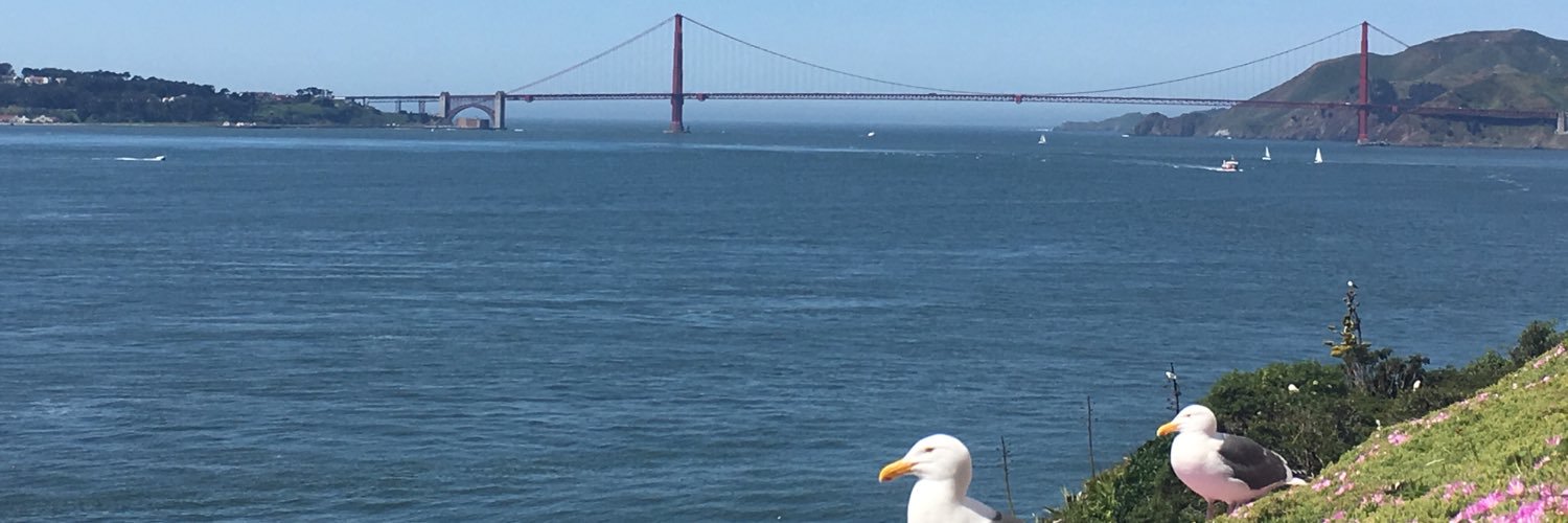 neo_brandon's profile banner image