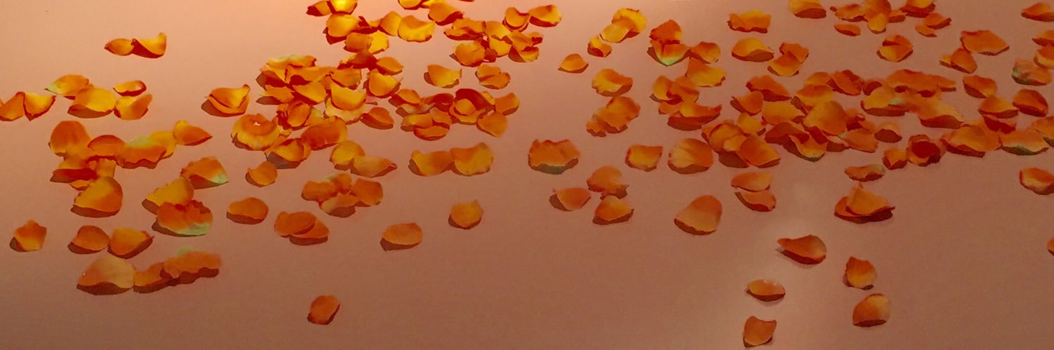 cocoameko214's profile banner image