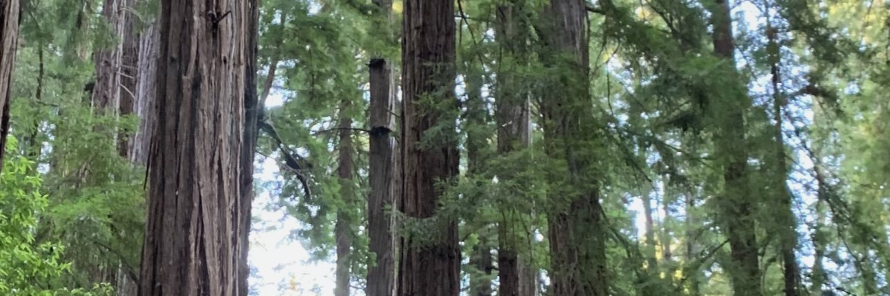 andrewwkoch_'s profile banner image