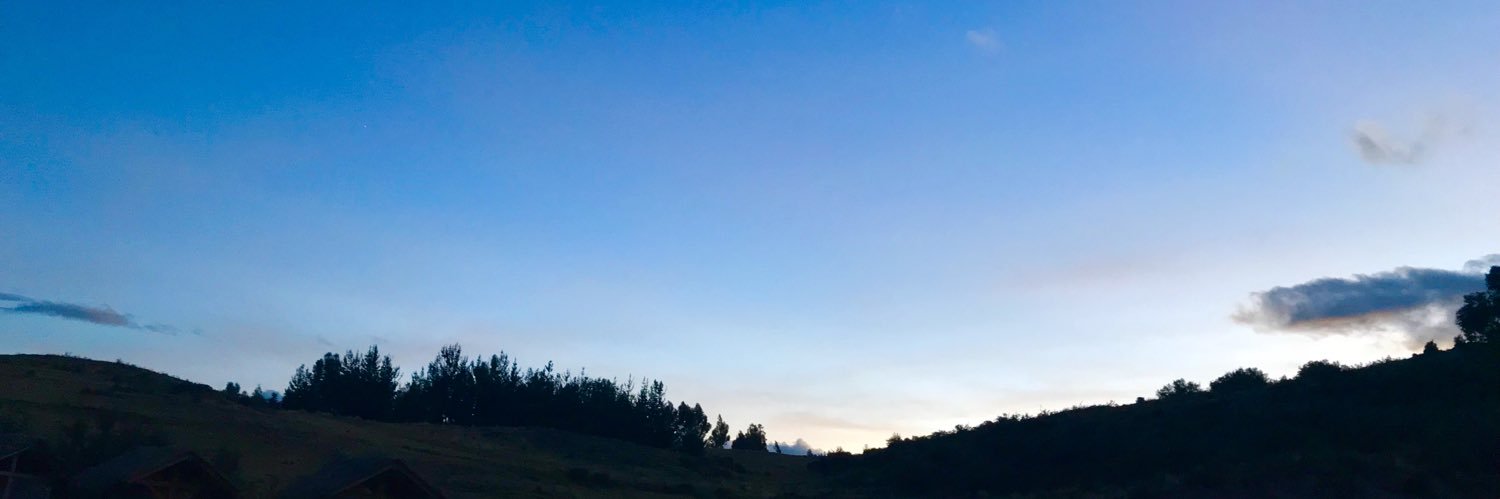 Daniela Cure C.⚡️ banner