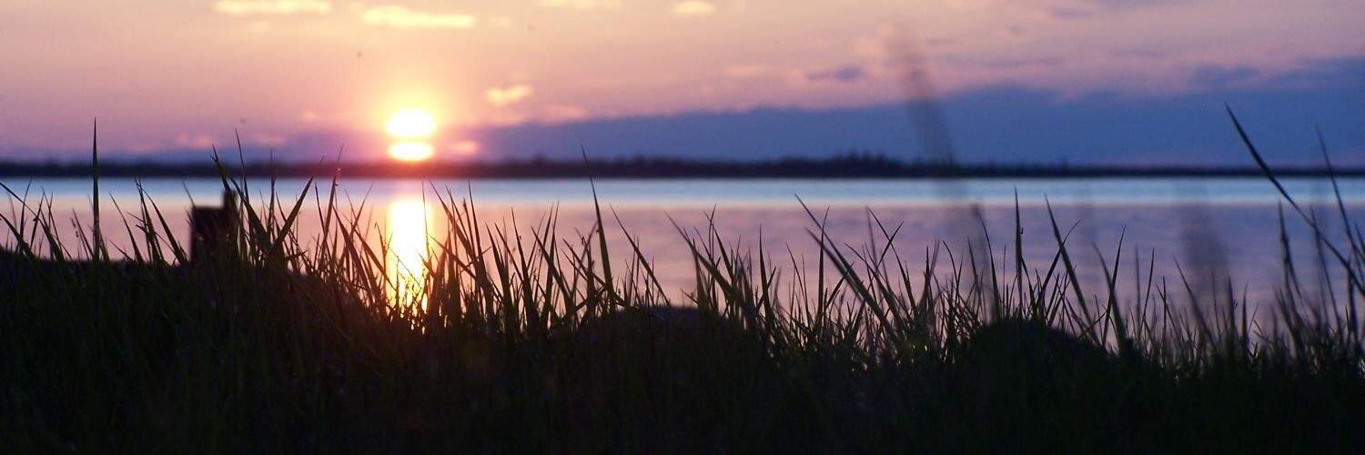MurrayBraun's profile banner image