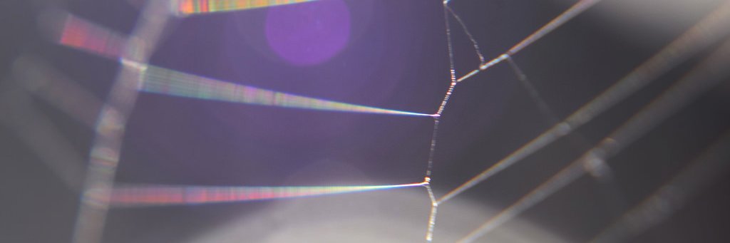 ash_28's profile banner image