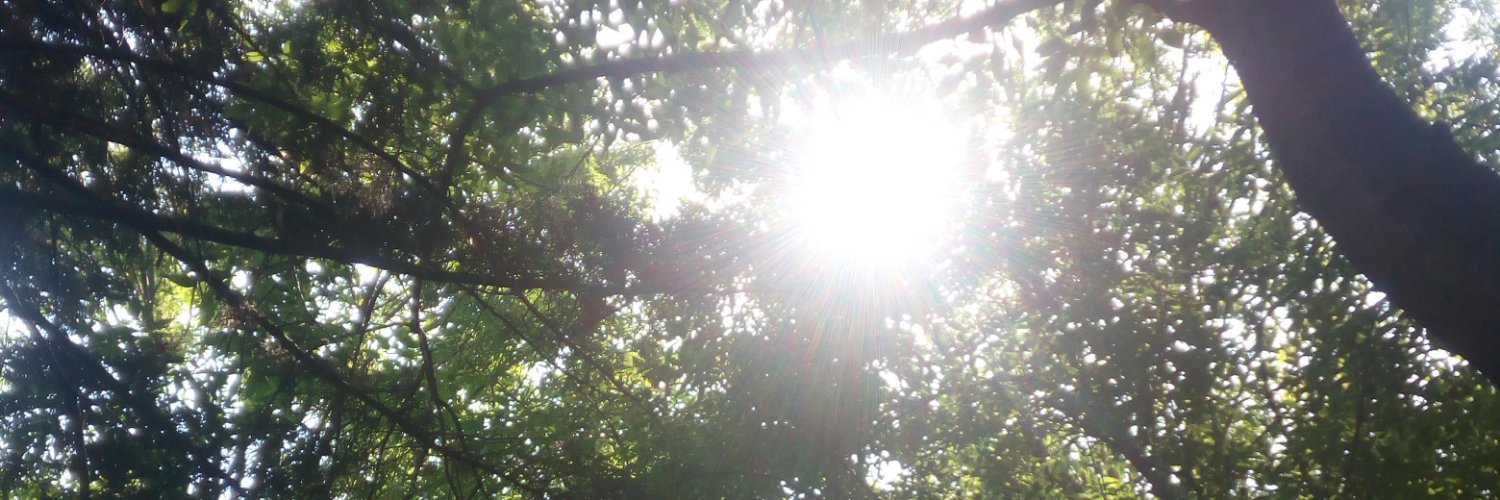 lemurya's profile banner image