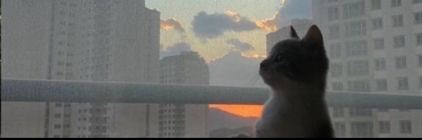 busrakaara's profile banner image