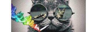cargarcou's profile banner image