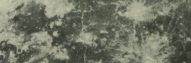 Emmie McLuskey banner