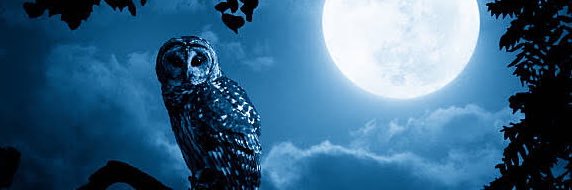 Miloun_'s profile banner image