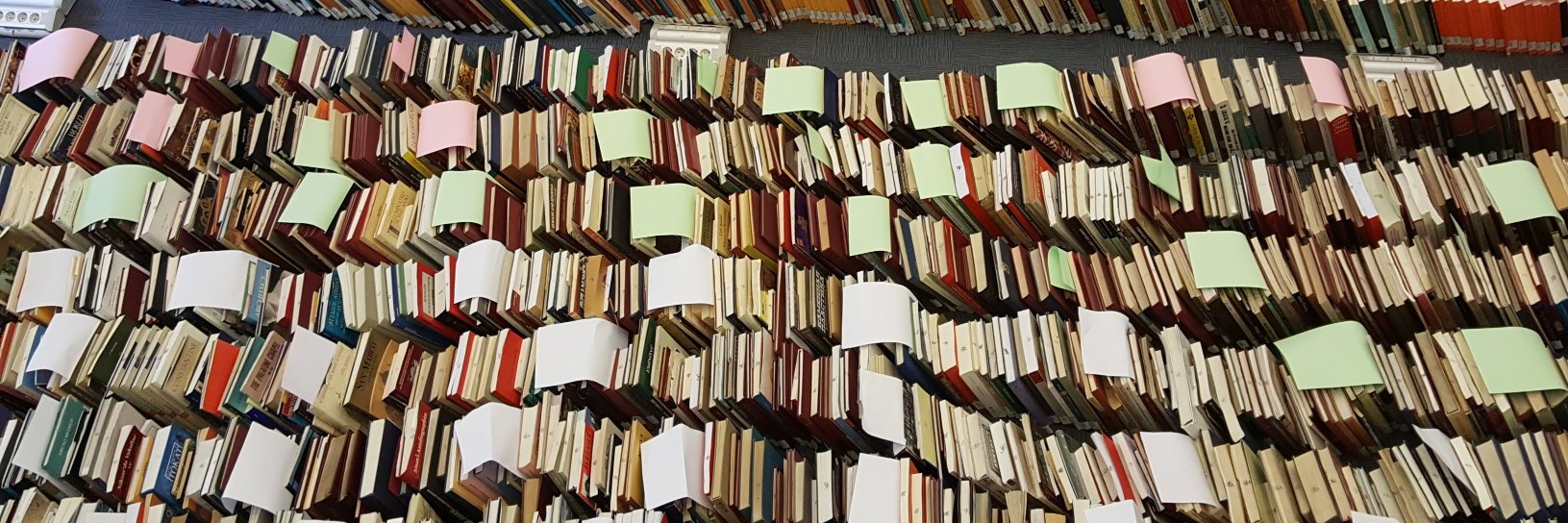 ANAMED Library's banner