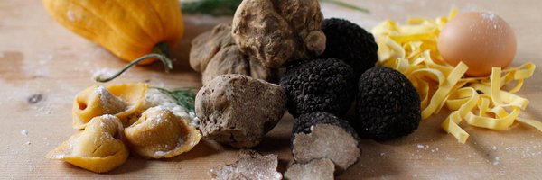 Truffle Traders Profile Banner