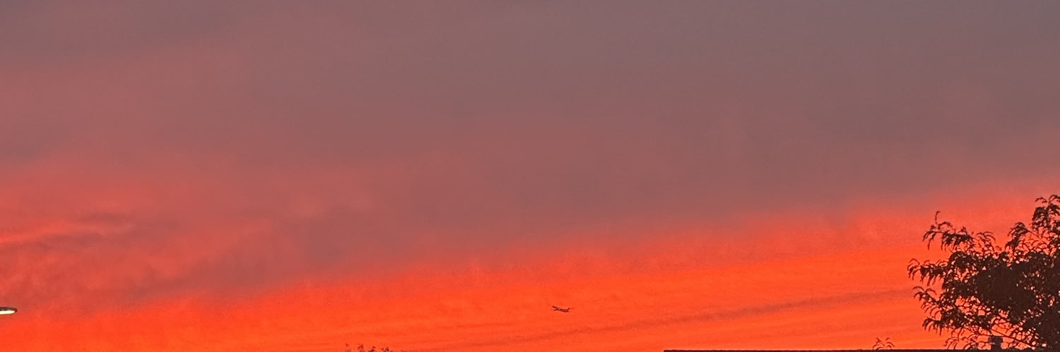 amyosorio's profile banner image