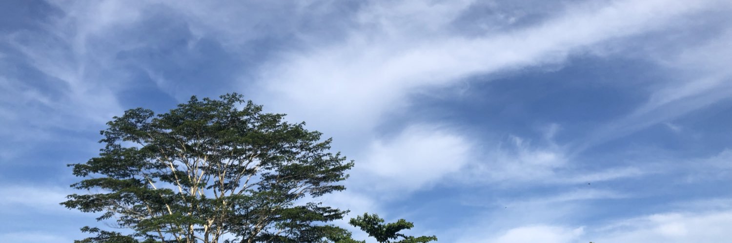 nurazwarus's profile banner image
