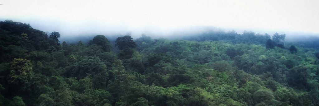 paogantus's profile banner image