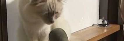 svilorjupiter's profile banner image
