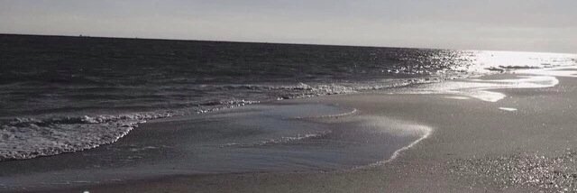 NamesWill's profile banner image
