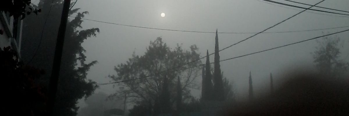 E74979196's profile banner image
