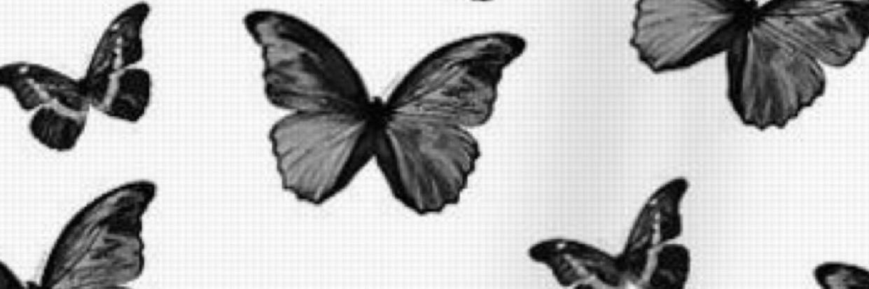 empvargas's profile banner image