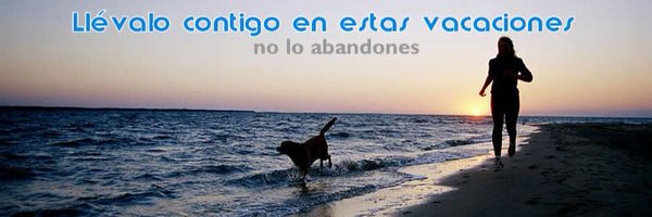 RDAChile Profile Banner