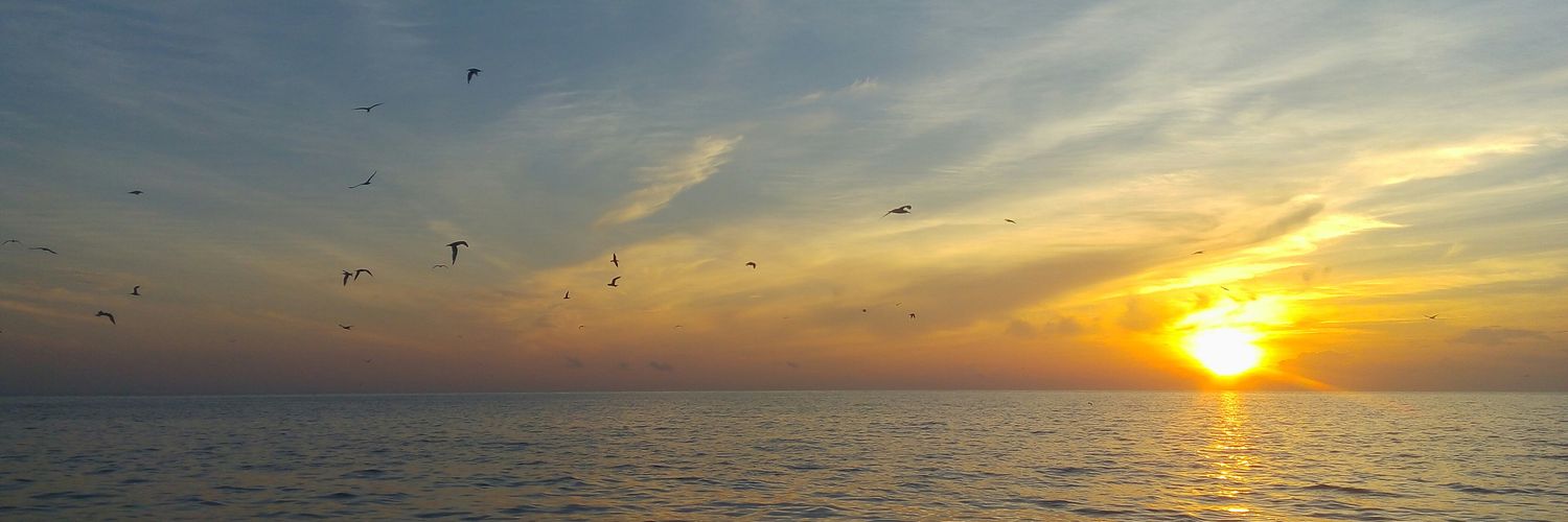 Alans_id's profile banner image