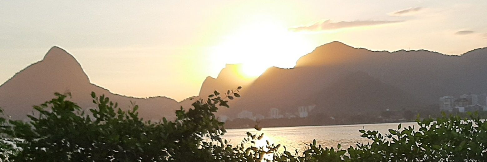 danbelfort's profile banner image