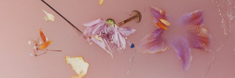 69stylesofpayne's profile banner image