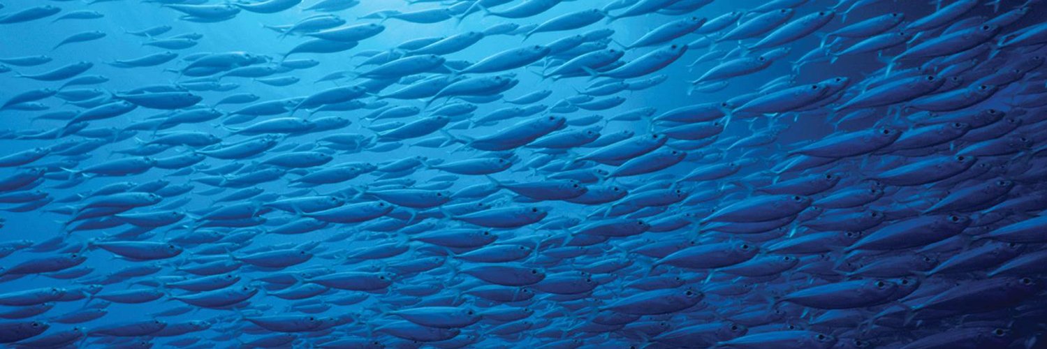 Genome Atlantic banner