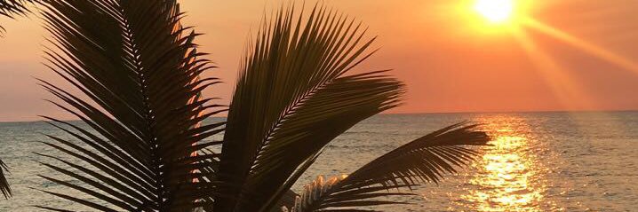ANJ2TWIT's profile banner image