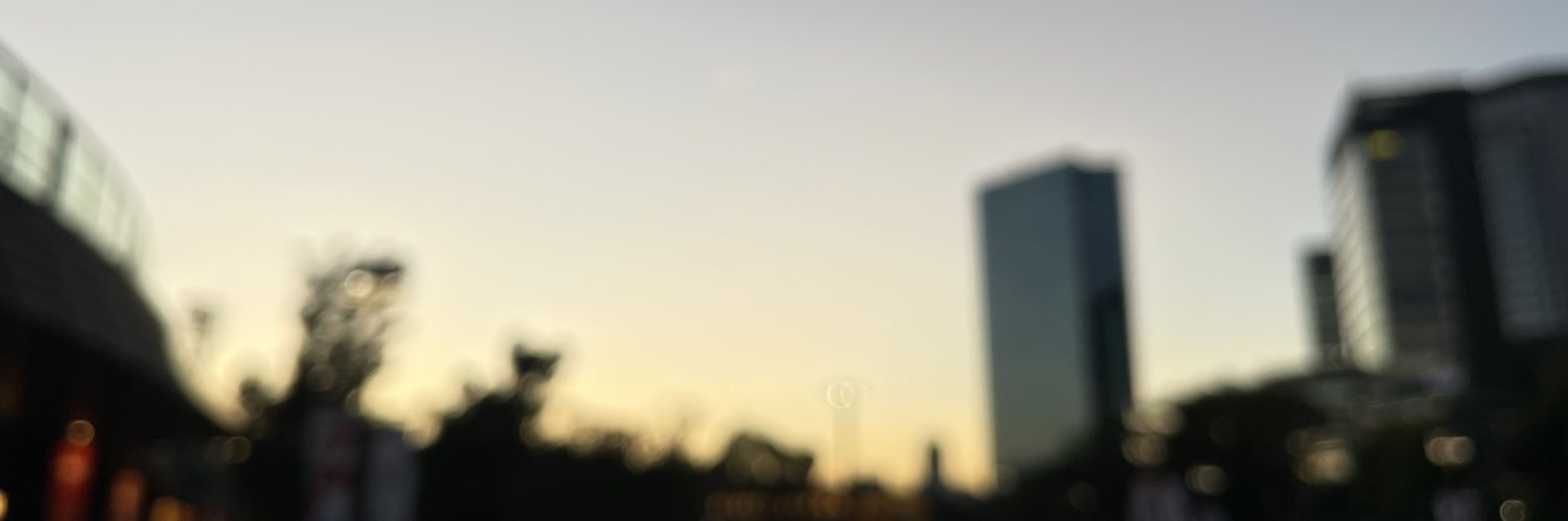 junkobuta1's profile banner image